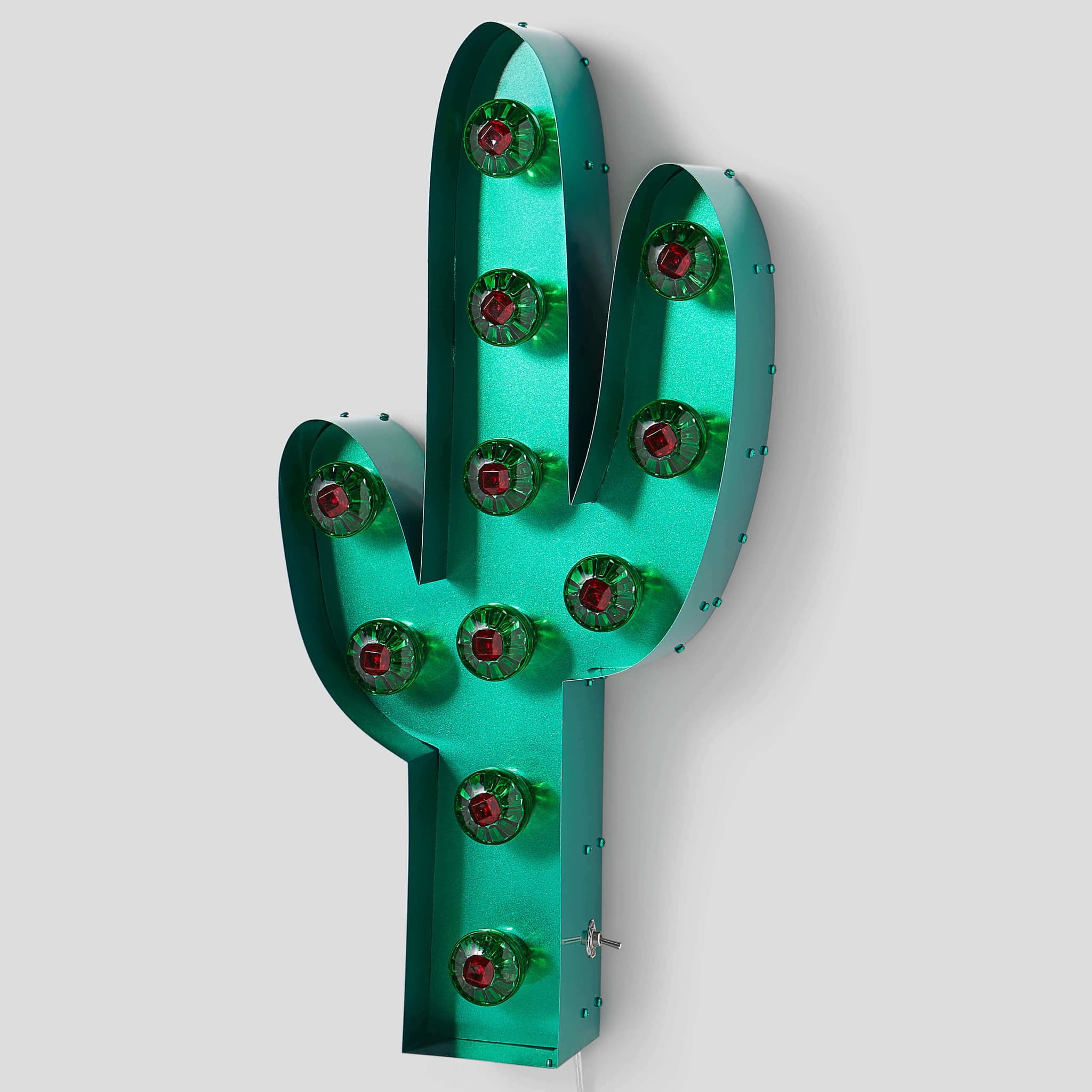 UN CACTUS BRILLANT
