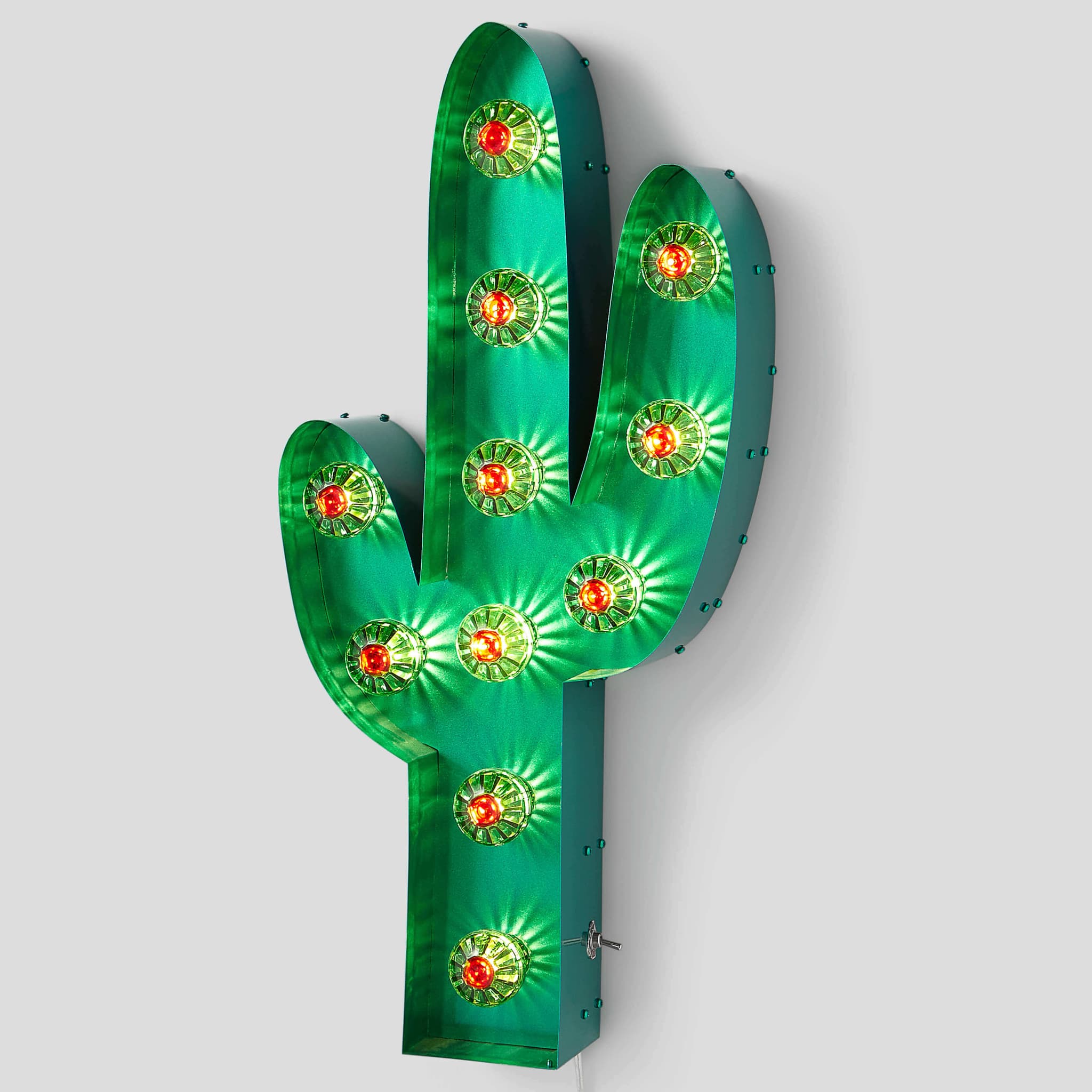 OOGVERBLINDENDE CACTUS